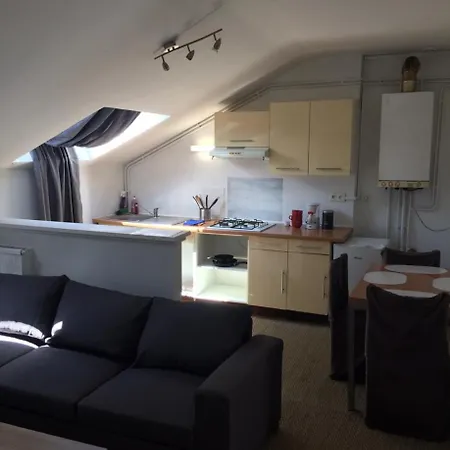 דירה Le Victor Hugo Art Mechanical Et Sa Pizza Offerte אורילק